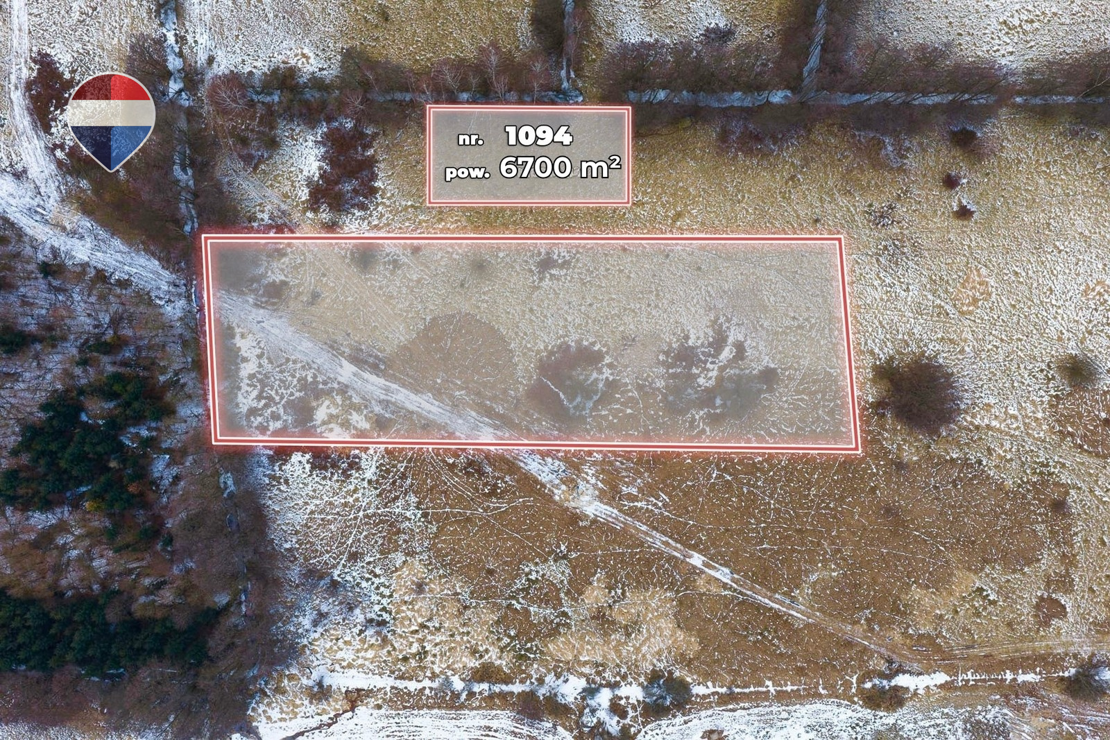 Zdjęcie 12