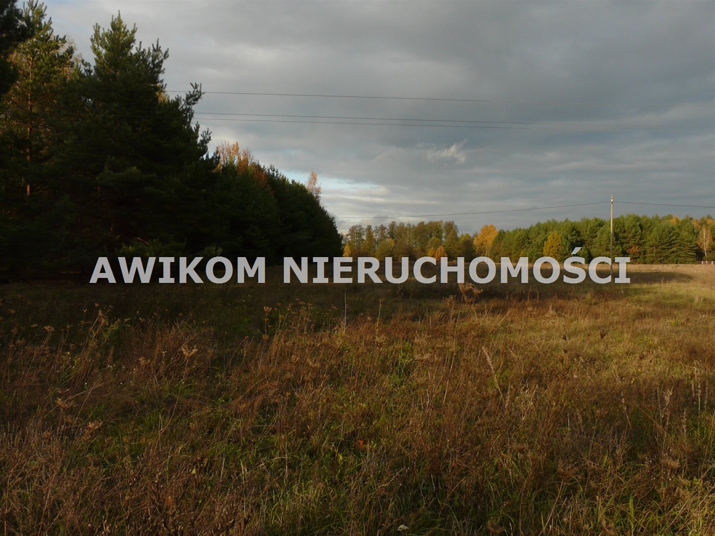 Działka Letniskowa, rekreacyjna, usługowa, budowlana – Puszcza Mariańska