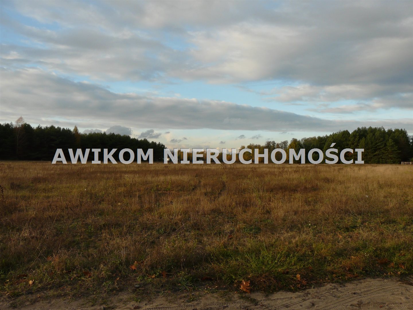 Zdjęcie 10