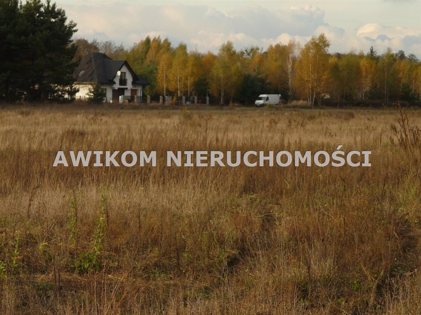 Zdjęcie 11