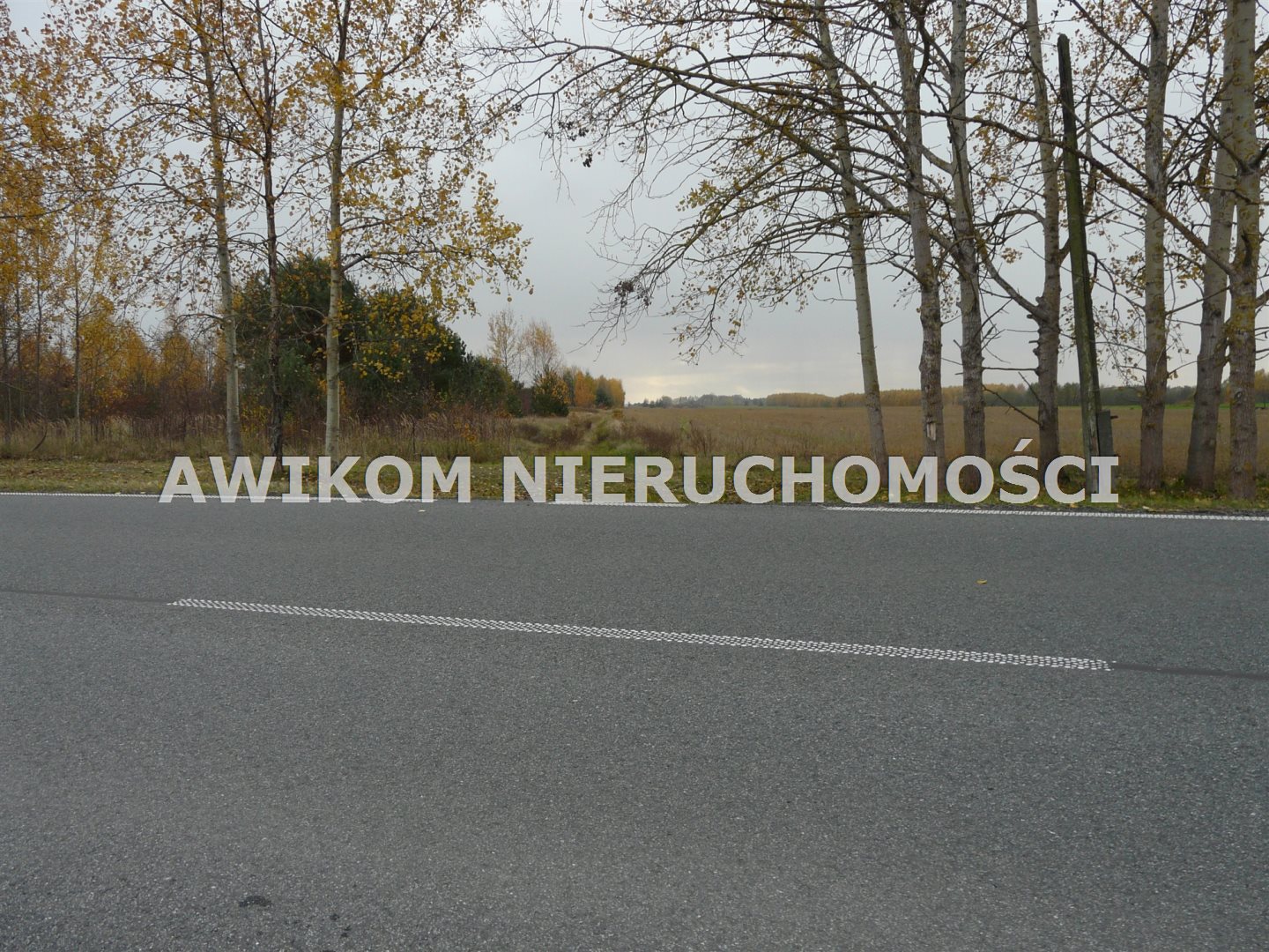 Działka siedliskowa, inwestycyjna i rolna 7,42 ha, Stary Łajszczew