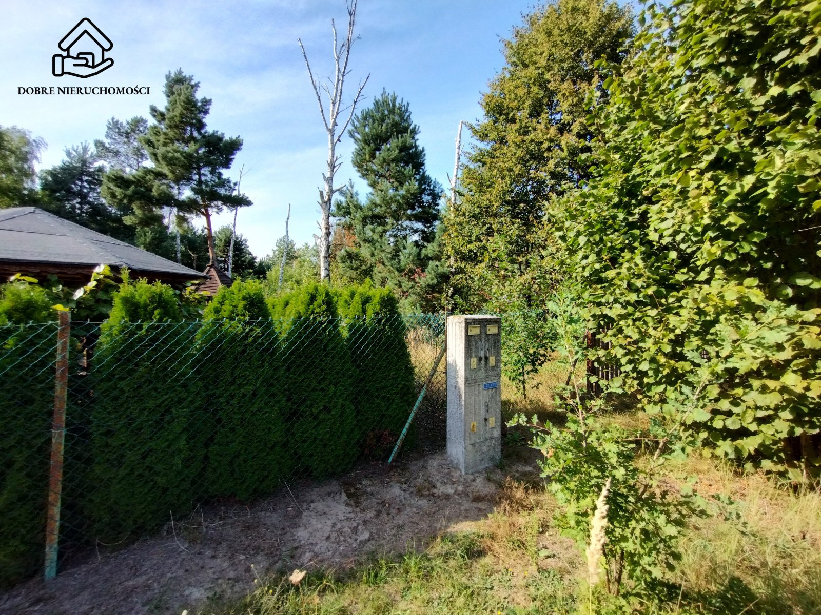 Zdjęcie 4