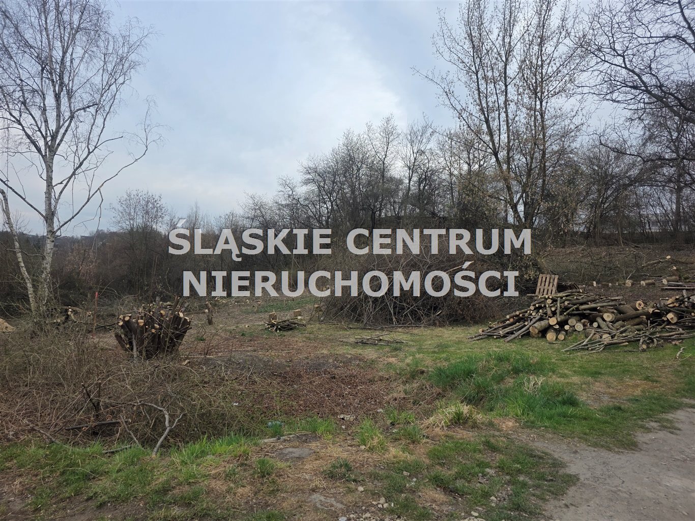 Zdjęcie 3