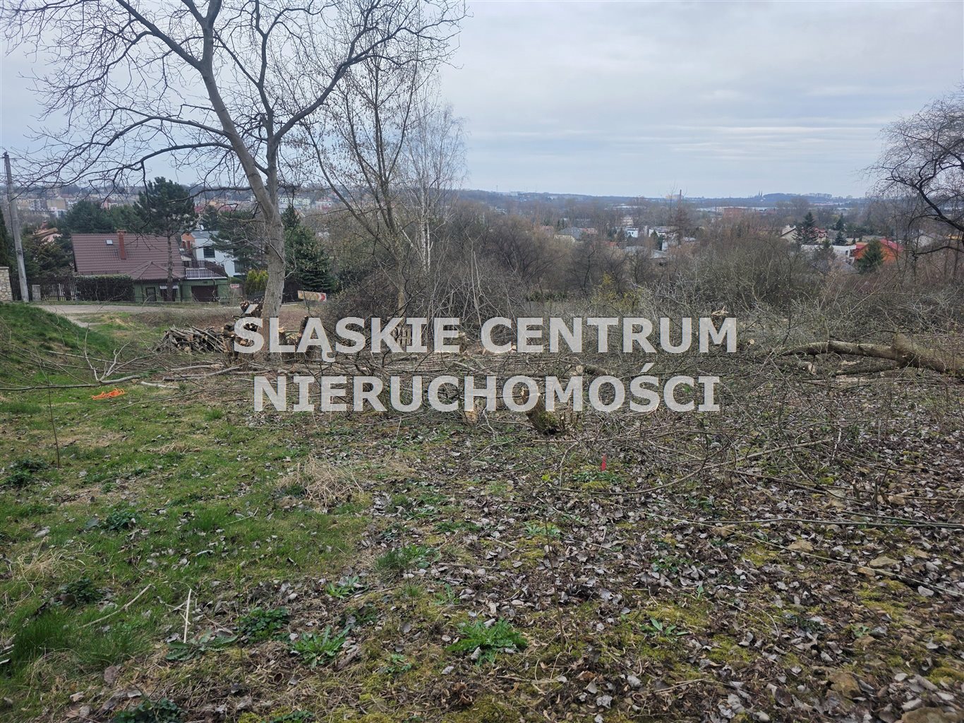 Zdjęcie 6