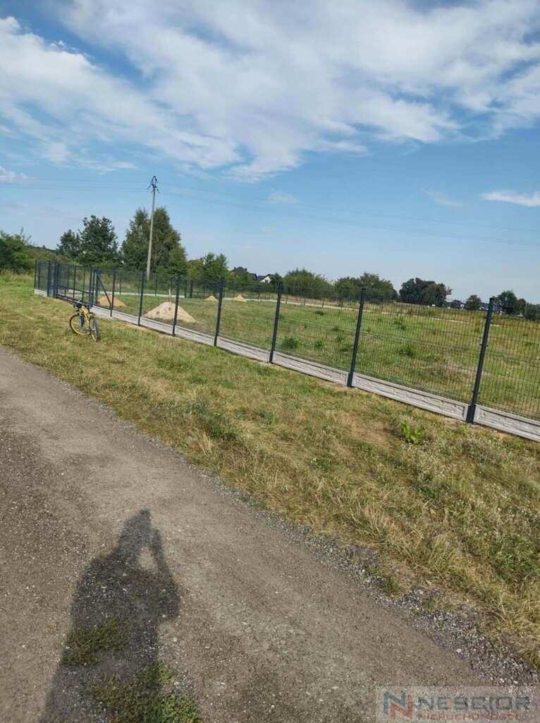 Zdjęcie 2