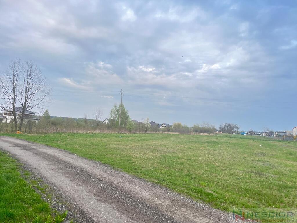 Zdjęcie 10