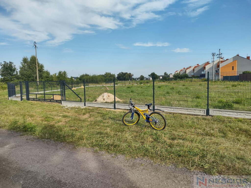 Zdjęcie 14