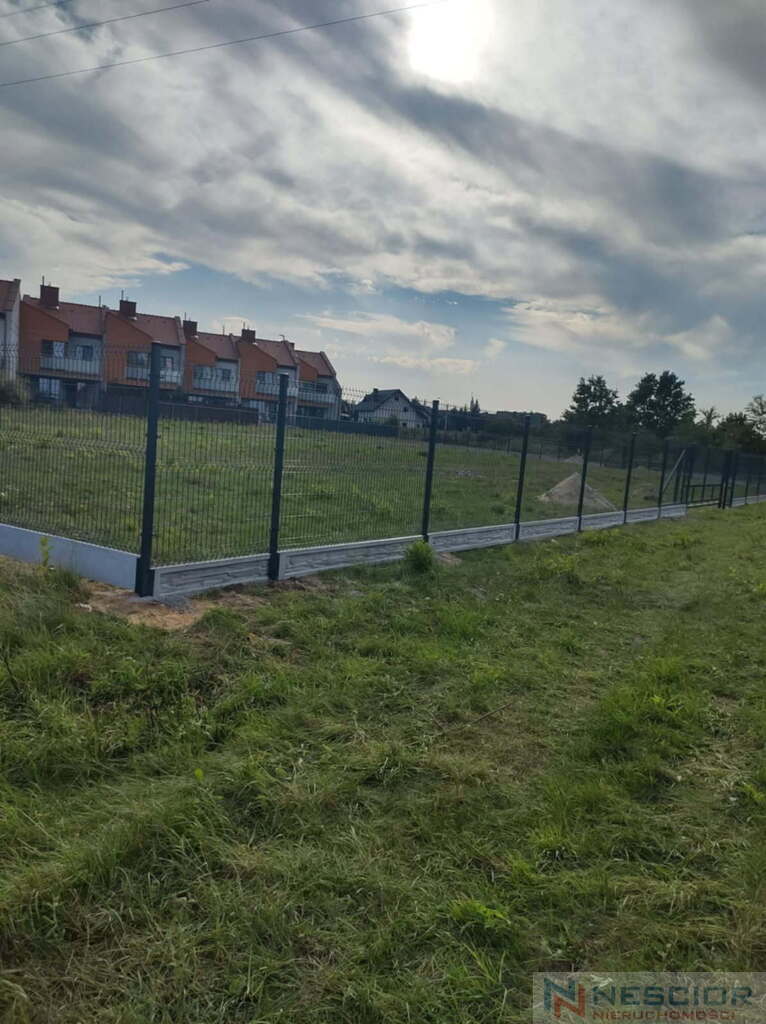 Zdjęcie 18
