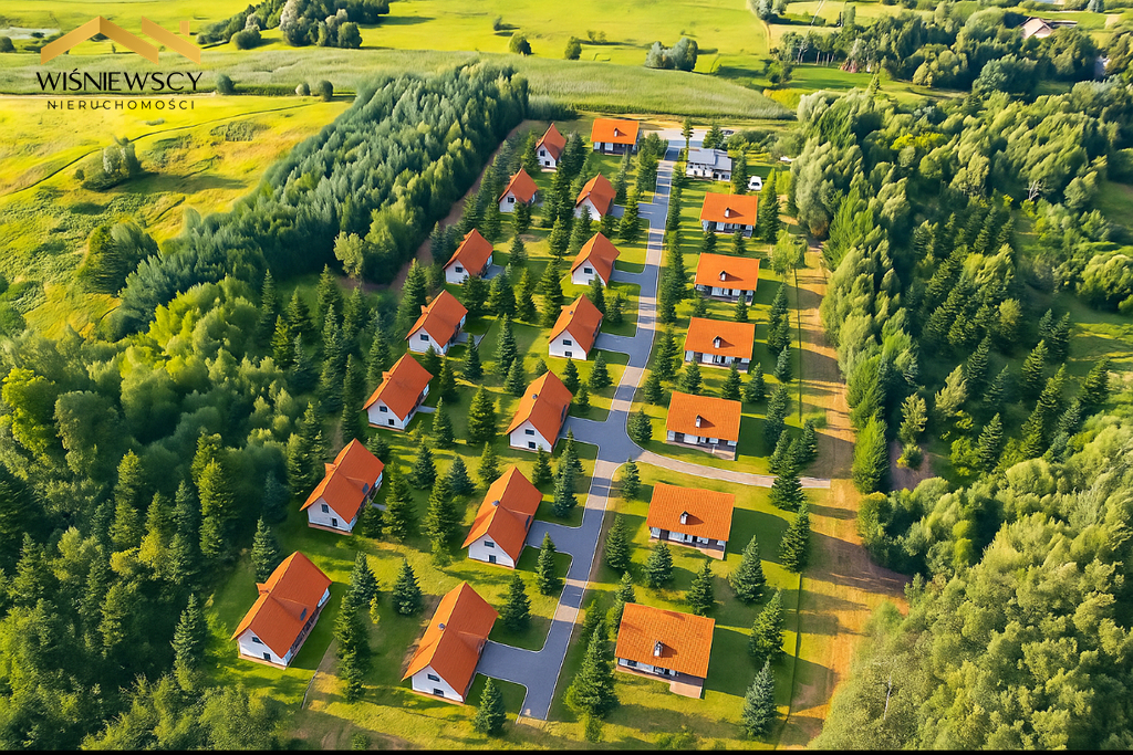 Zdjęcie 10