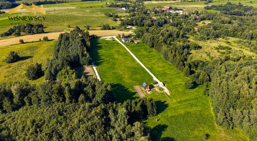 Zdjęcie 12