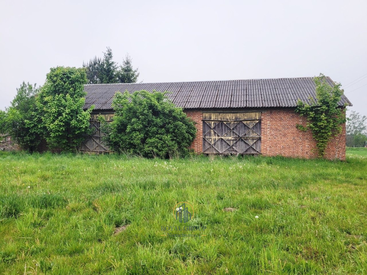 Zdjęcie 2