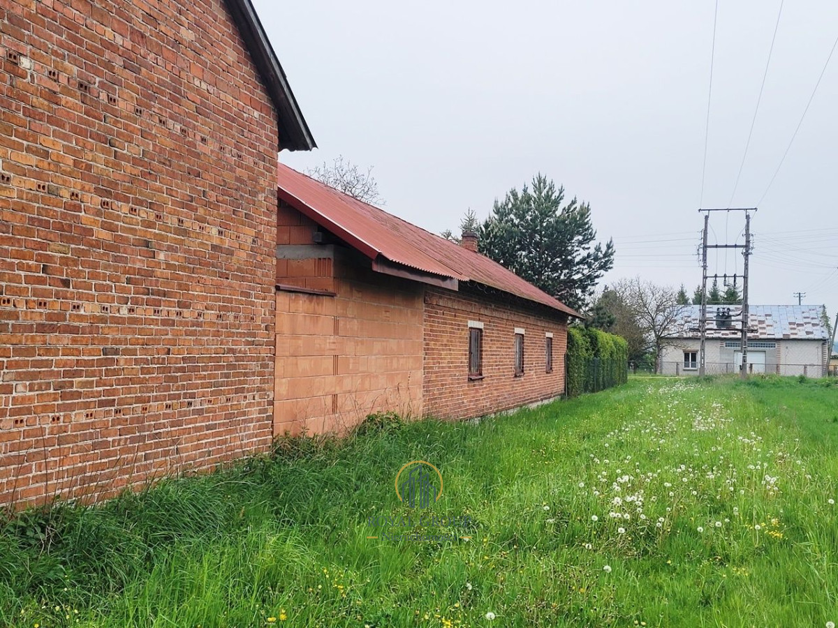 Zdjęcie 7