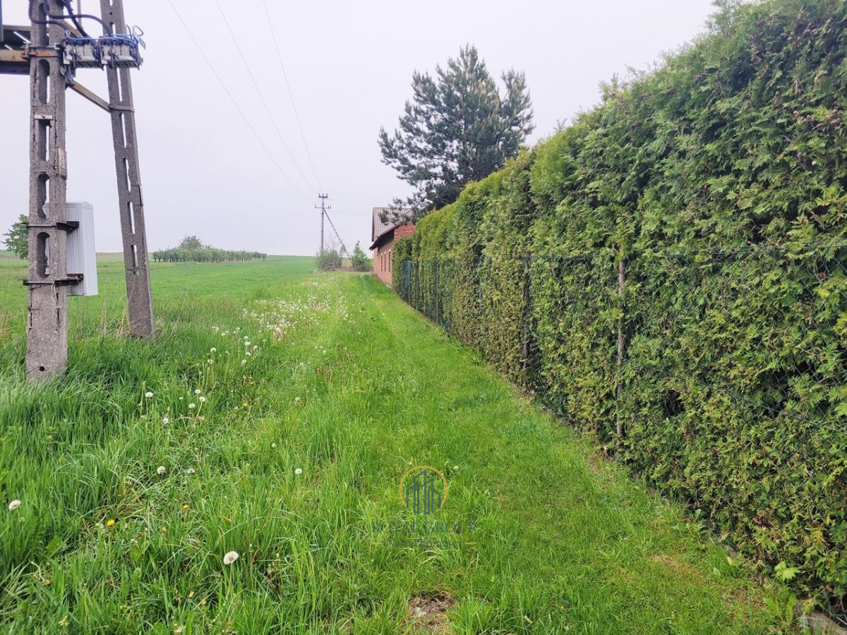 Zdjęcie 8