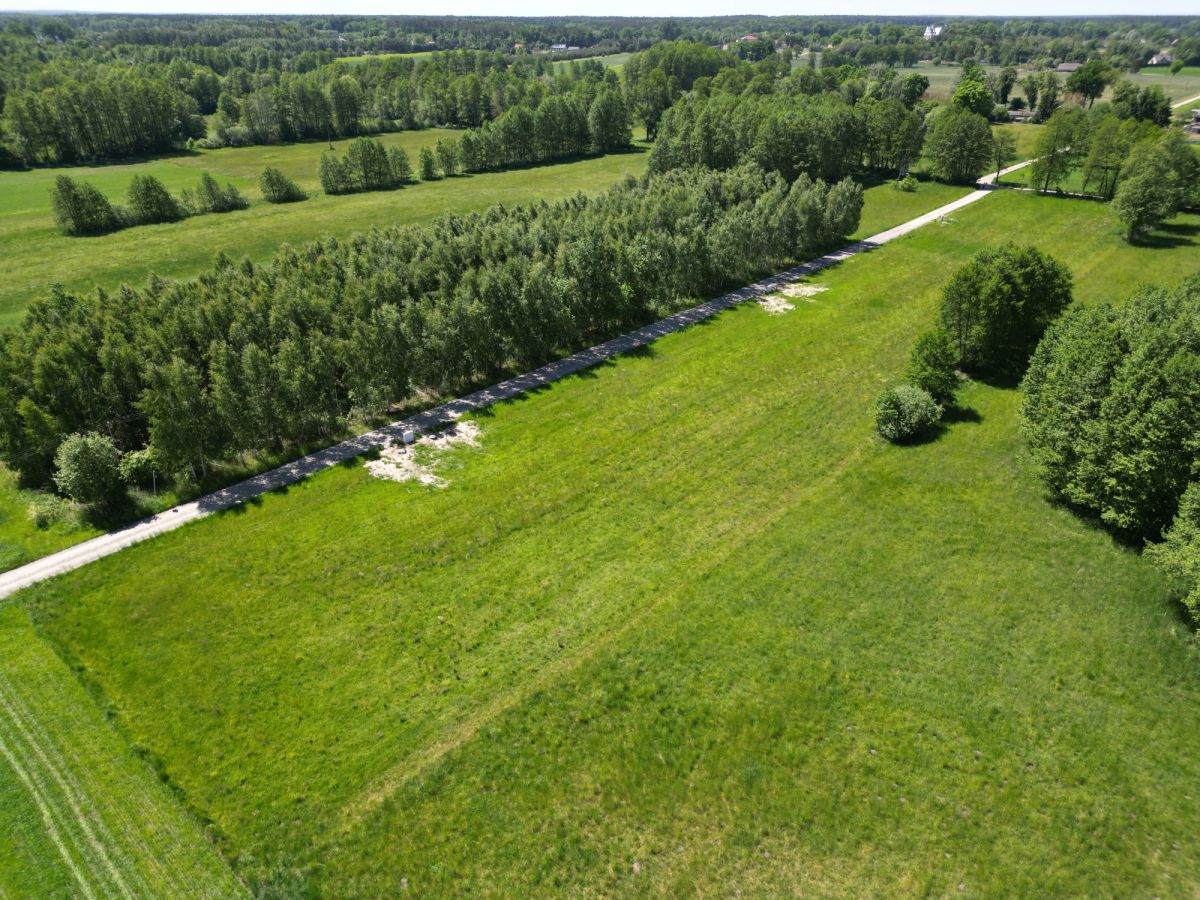 Zdjęcie 11