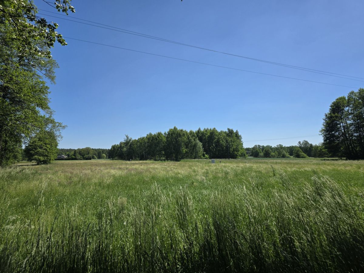 Zdjęcie 15