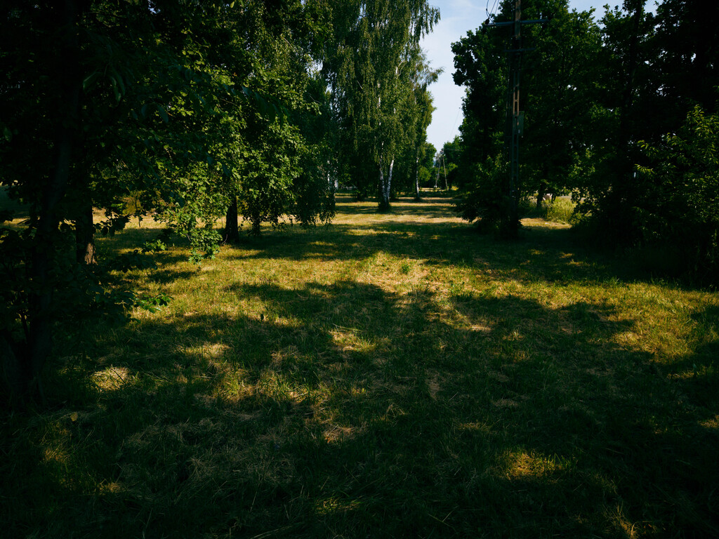 Zdjęcie 8