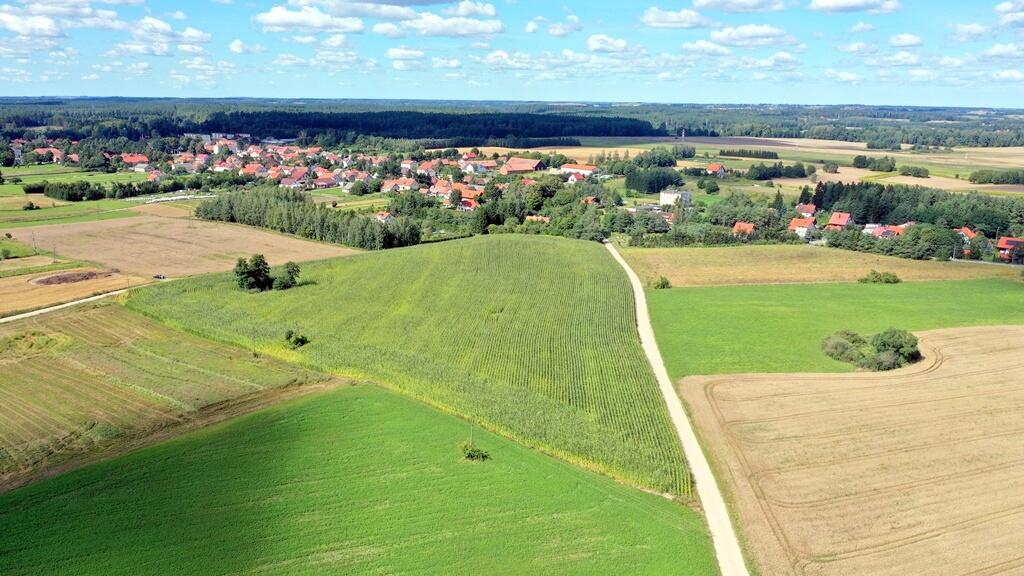 Zdjęcie 3