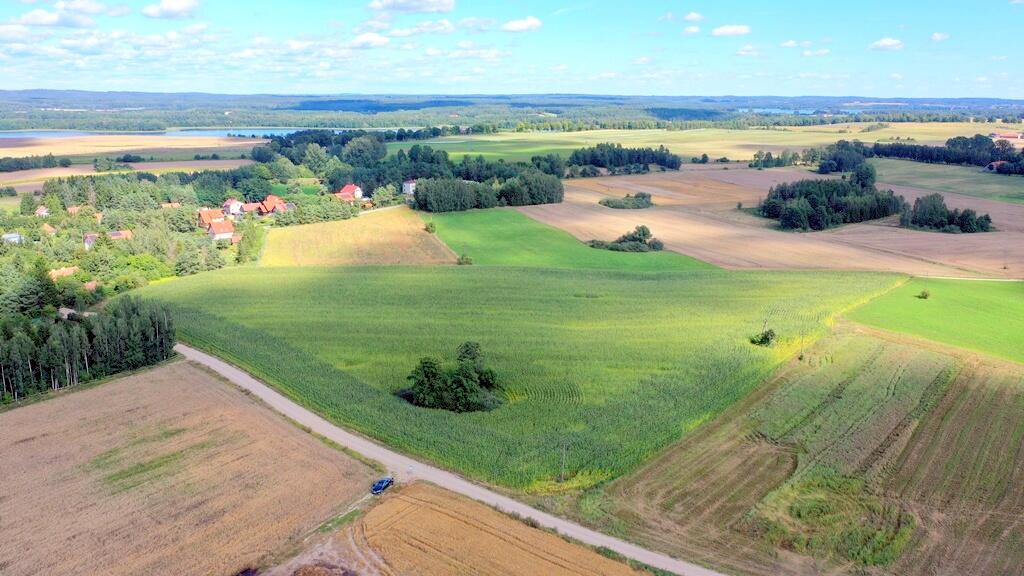 Zdjęcie 13