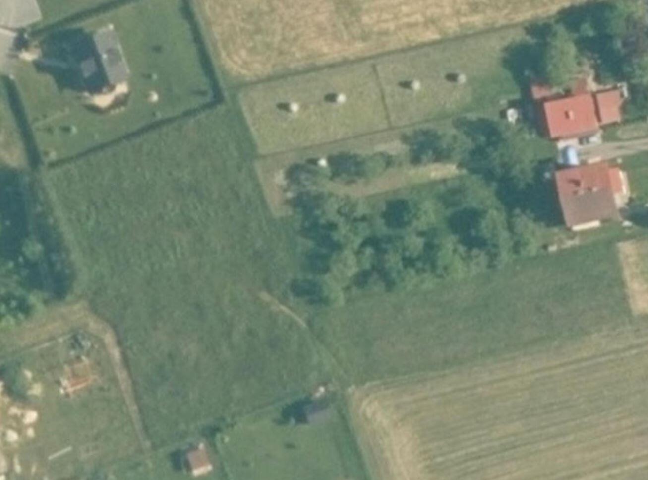 Zdjęcie 7