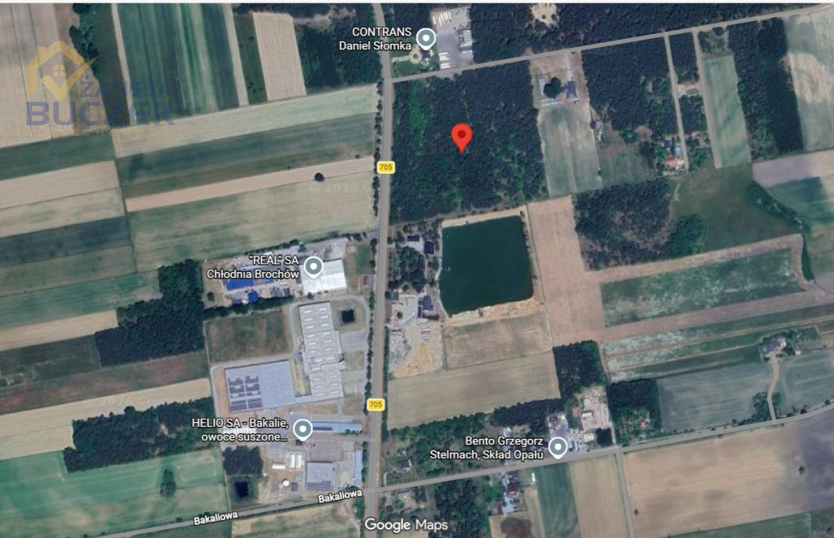 Działka inwestycyjna i leśna 4,82 ha, Brochów