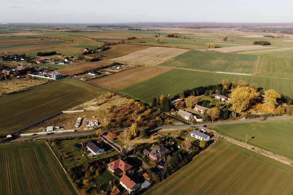 Zdjęcie 10