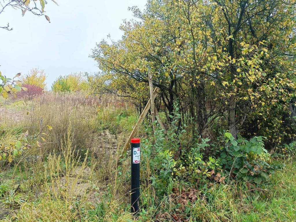 Zdjęcie 19