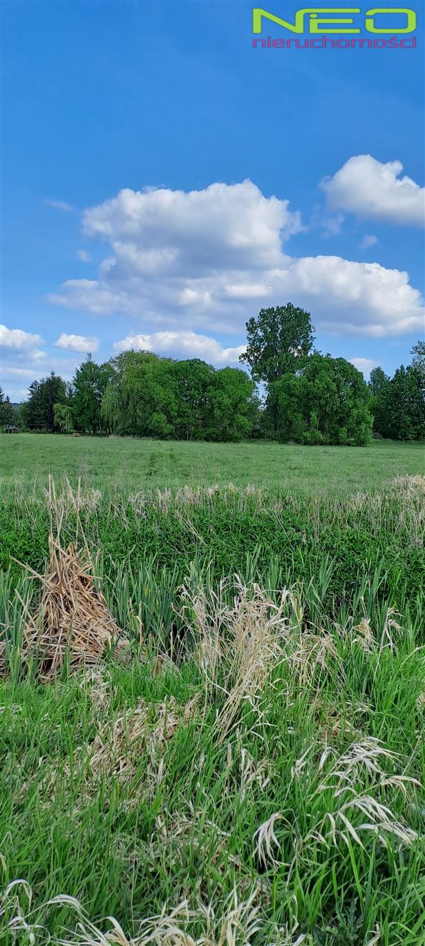 Działka rolna 2 256 m², Opatów