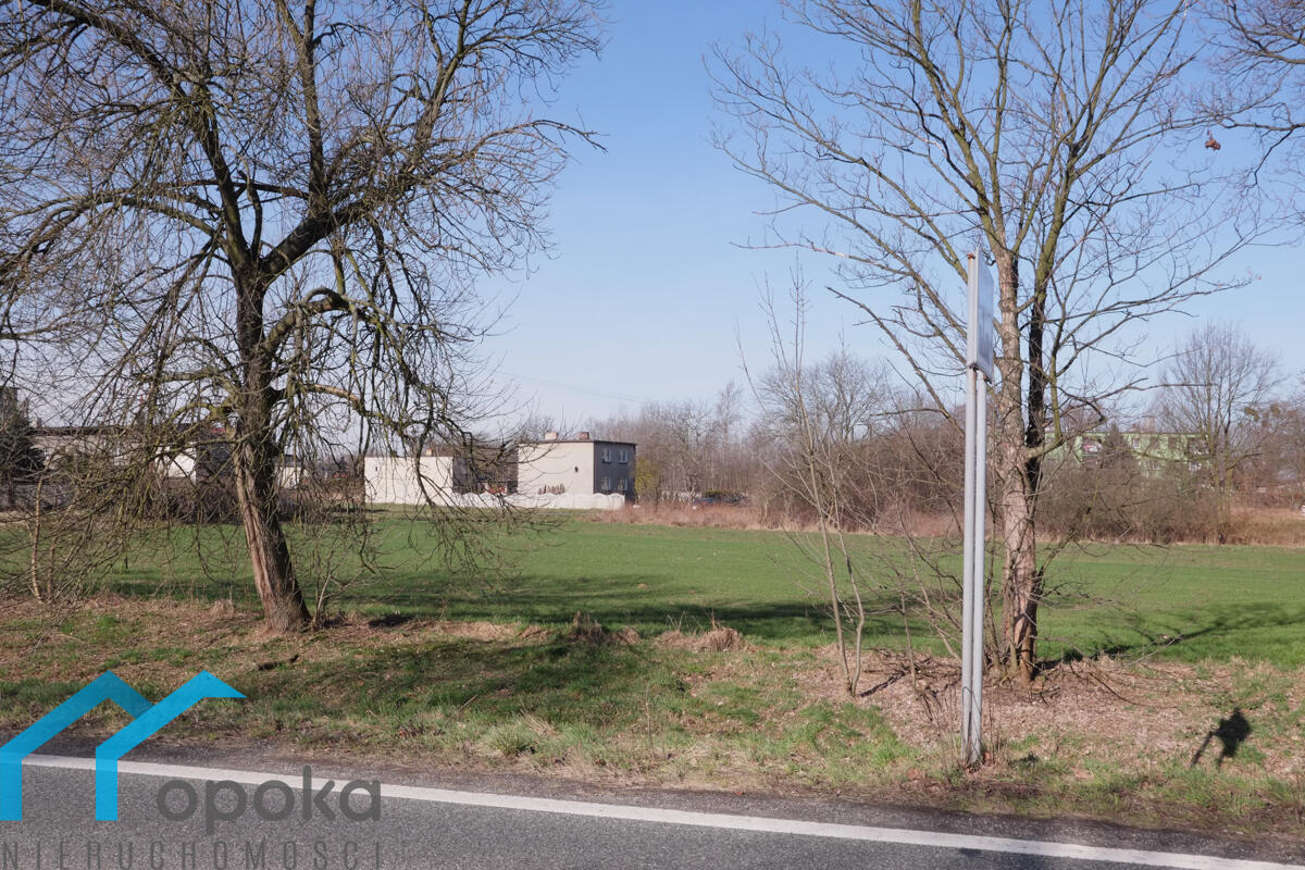 Zdjęcie 11