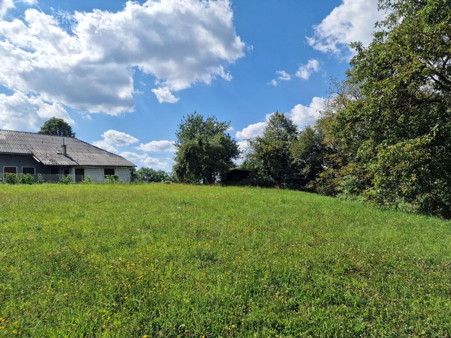 Zdjęcie 10