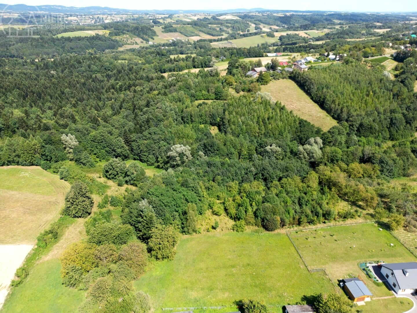 Zdjęcie 15