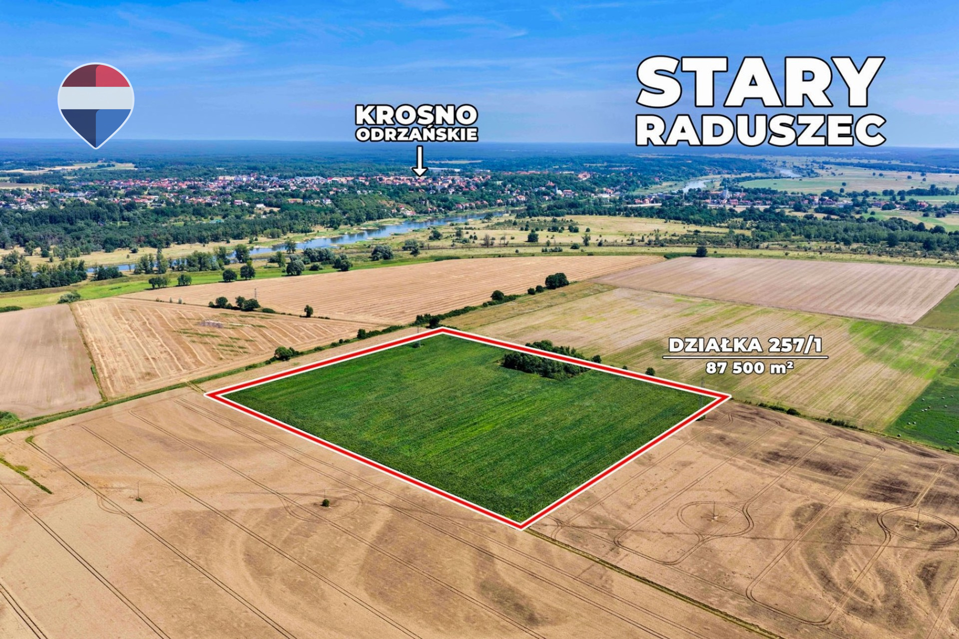 Na sprzedaż grunty orne RIIIa 8,75 ha