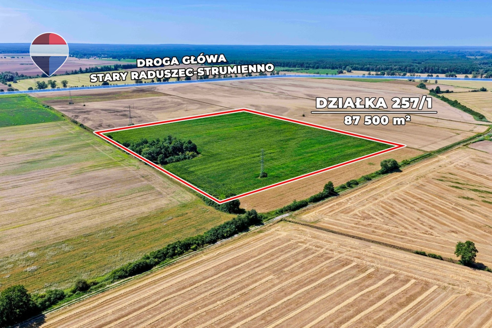 Zdjęcie 9