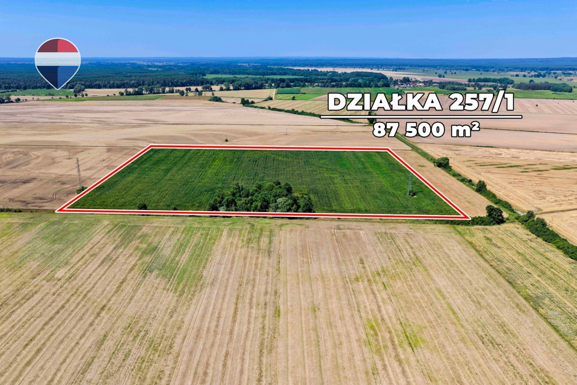 Zdjęcie 10