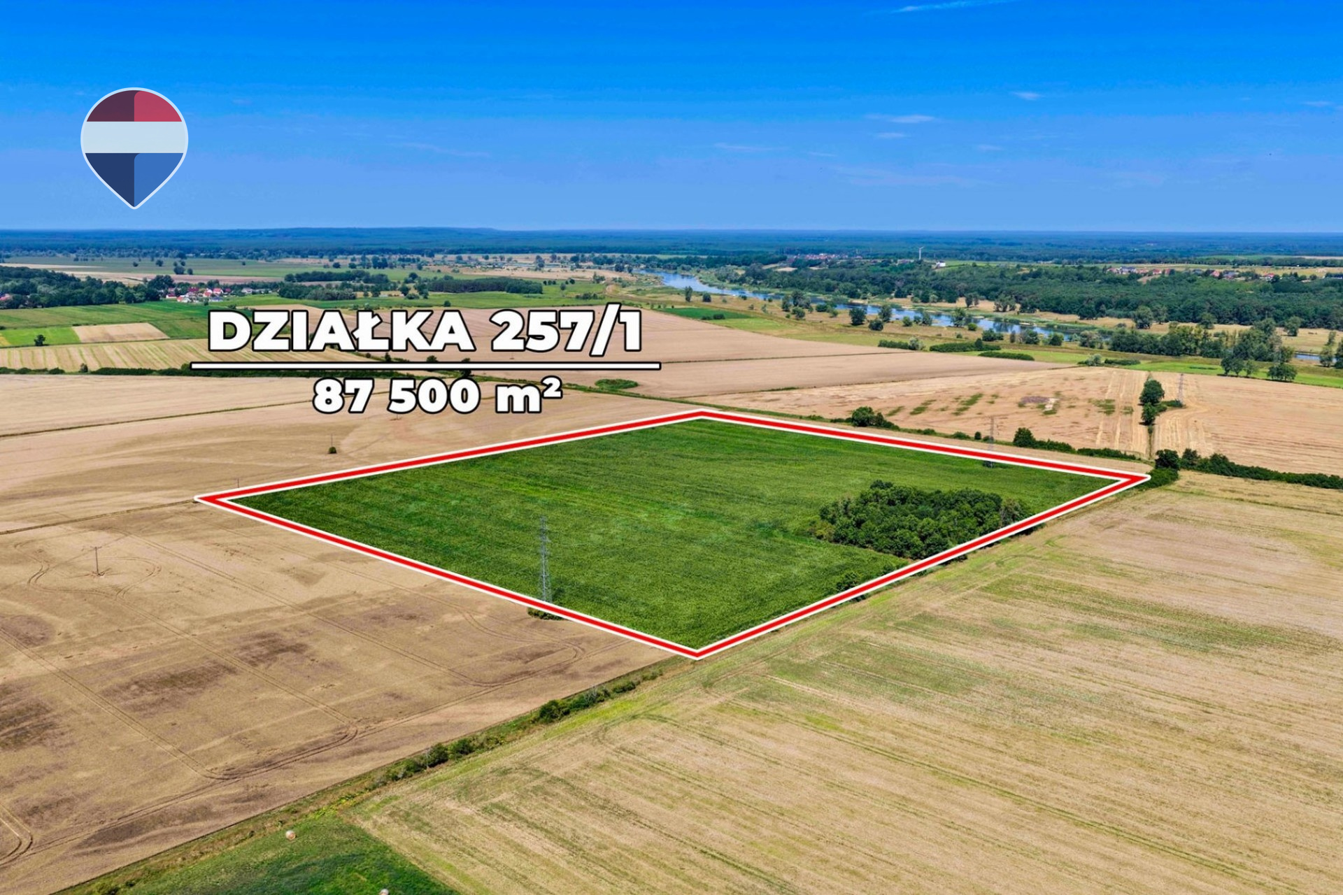 Zdjęcie 11