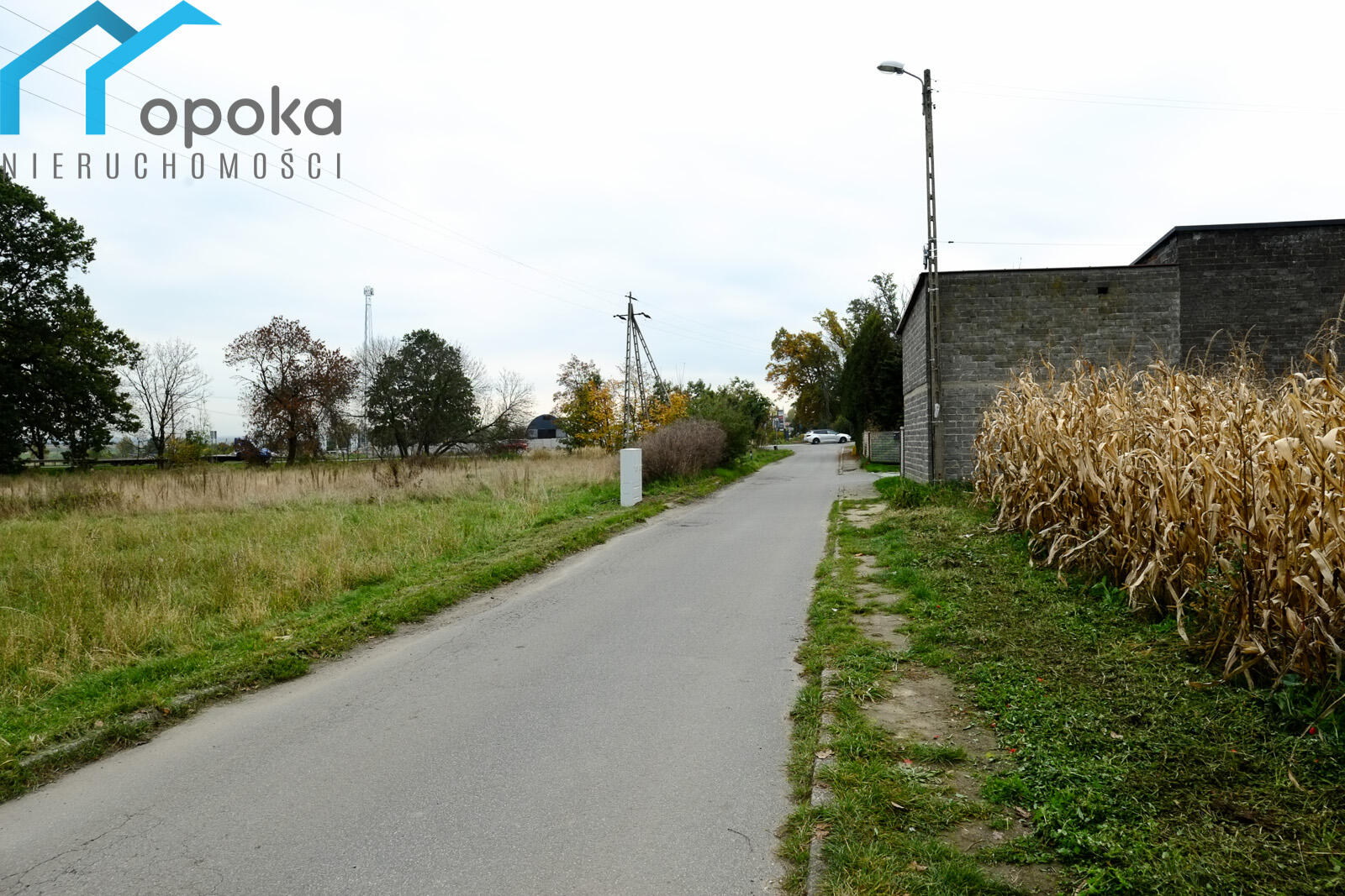Zdjęcie 12
