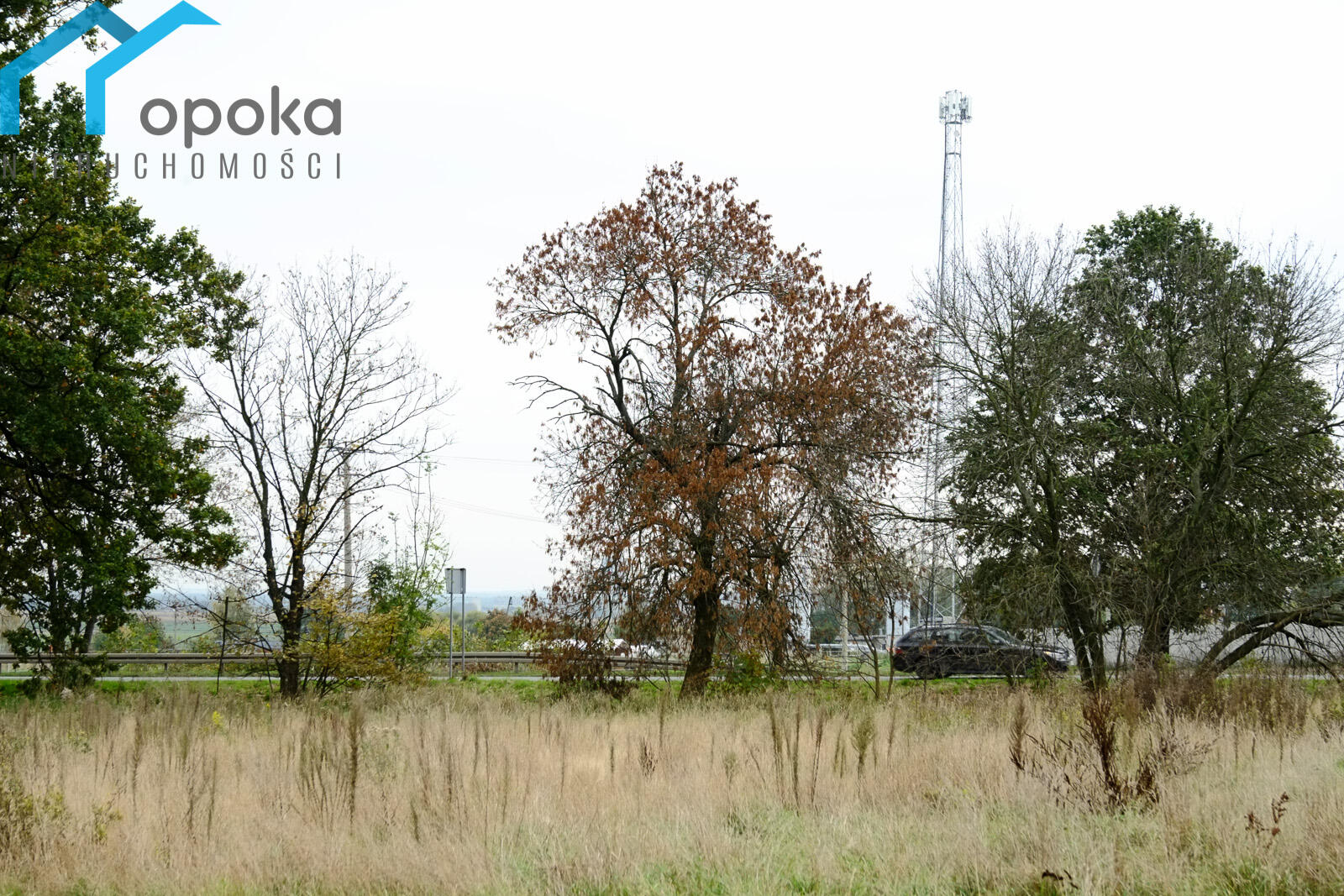 Zdjęcie 13
