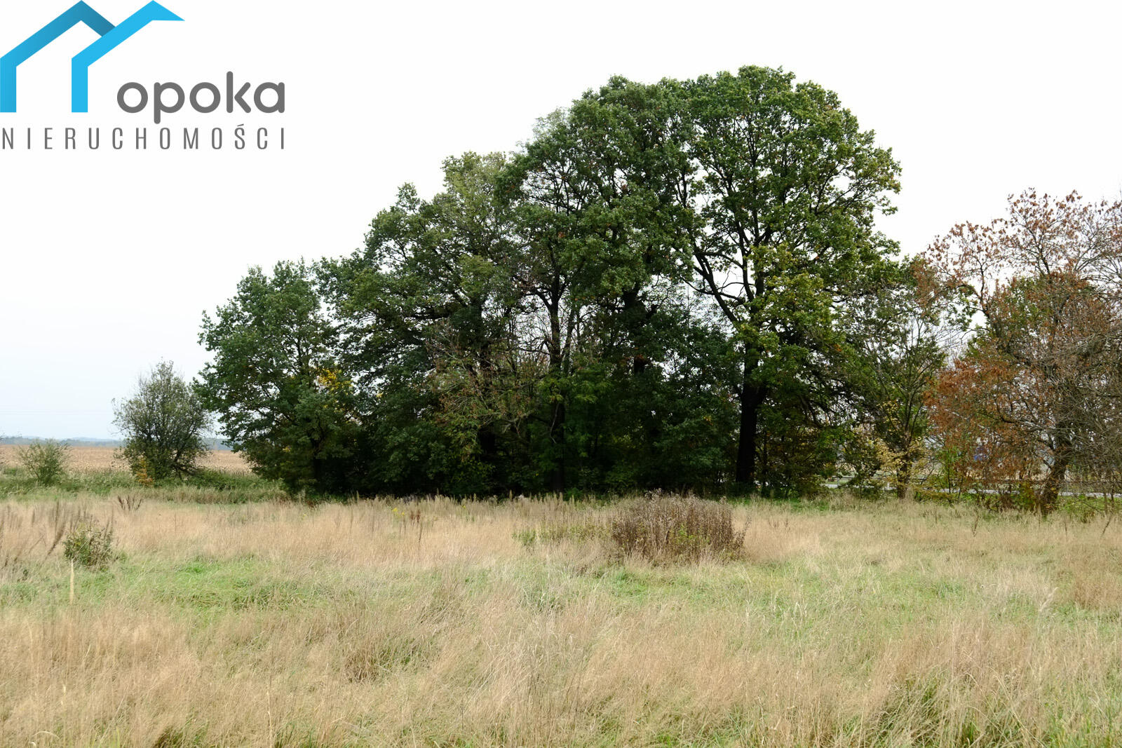 Zdjęcie 14