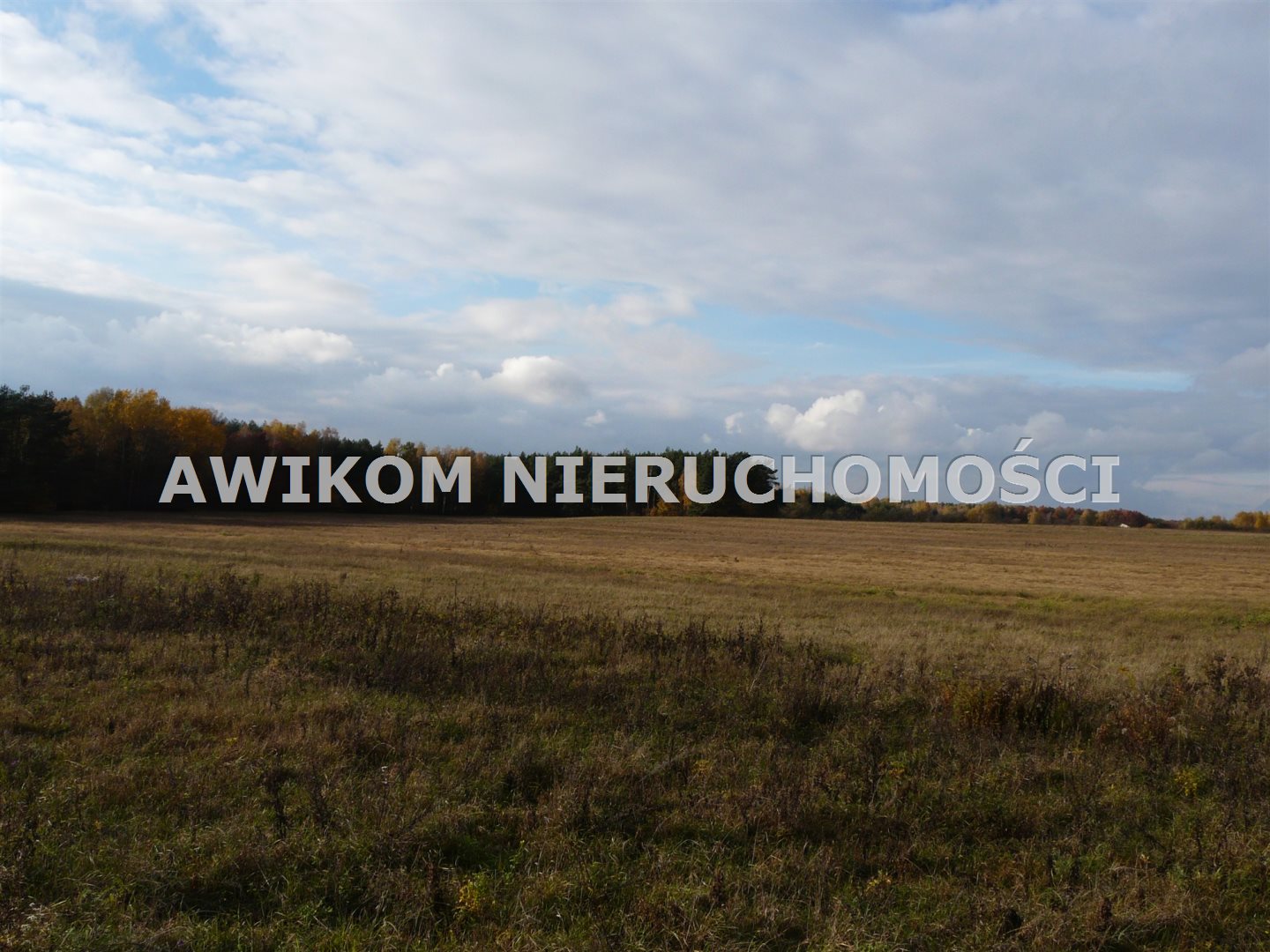 Działka inwestycyjna i rolna 16,26 ha, Wycześniak