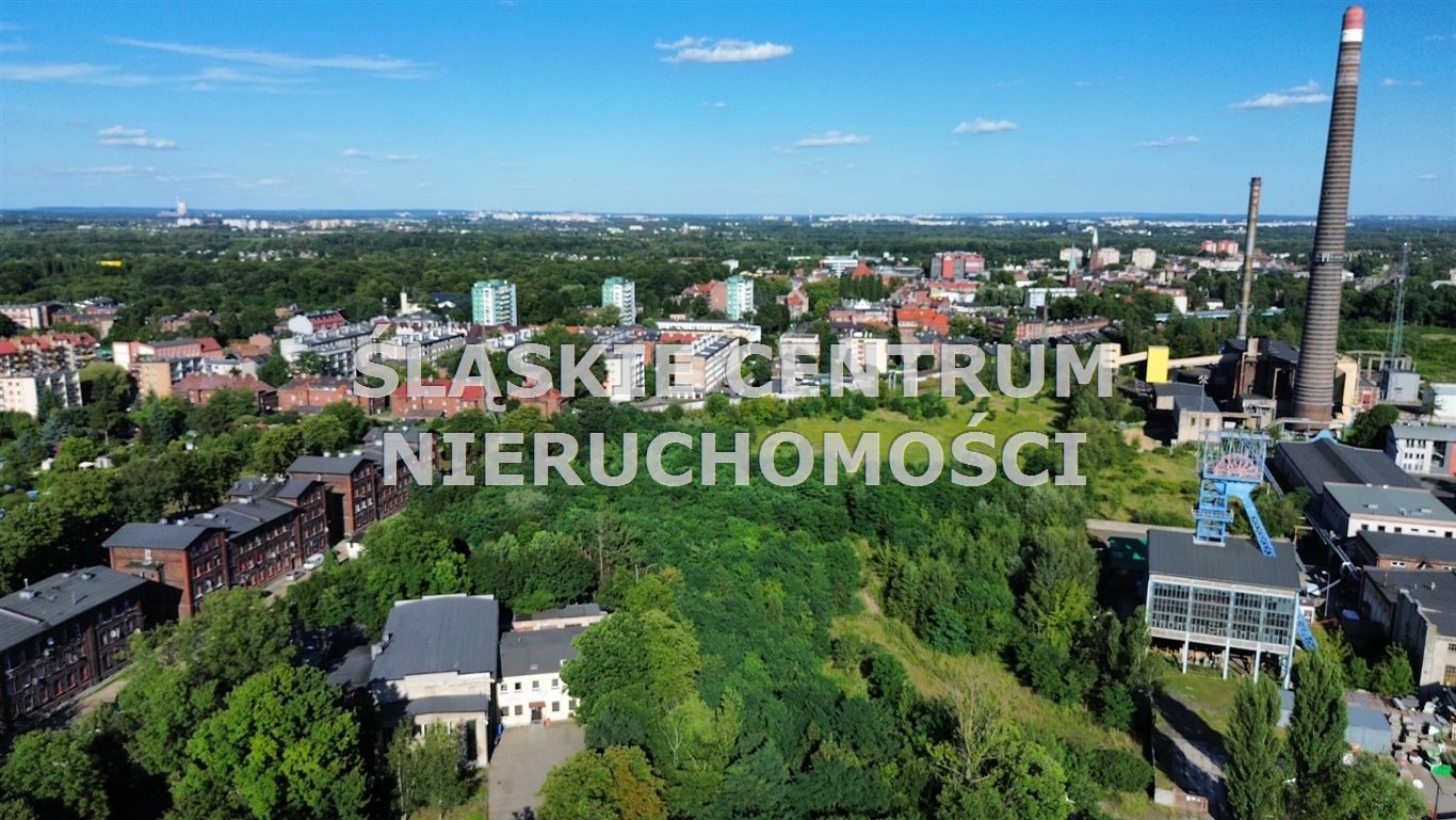 Zdjęcie 11