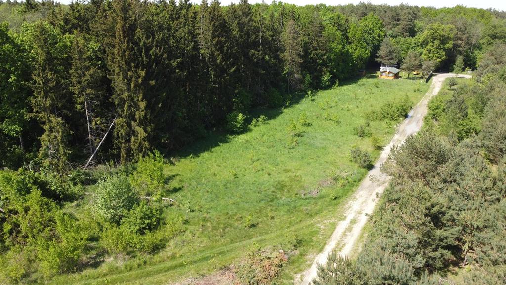 Zdjęcie 12