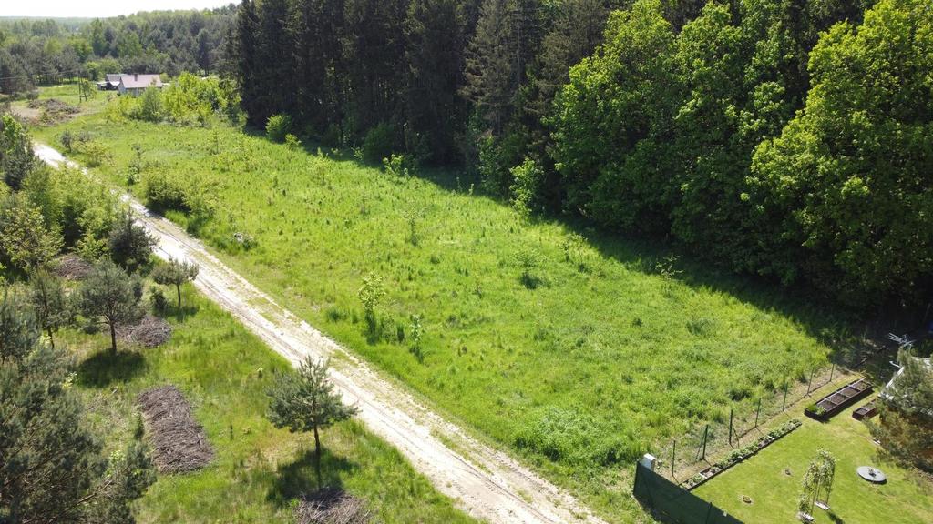 Zdjęcie 14