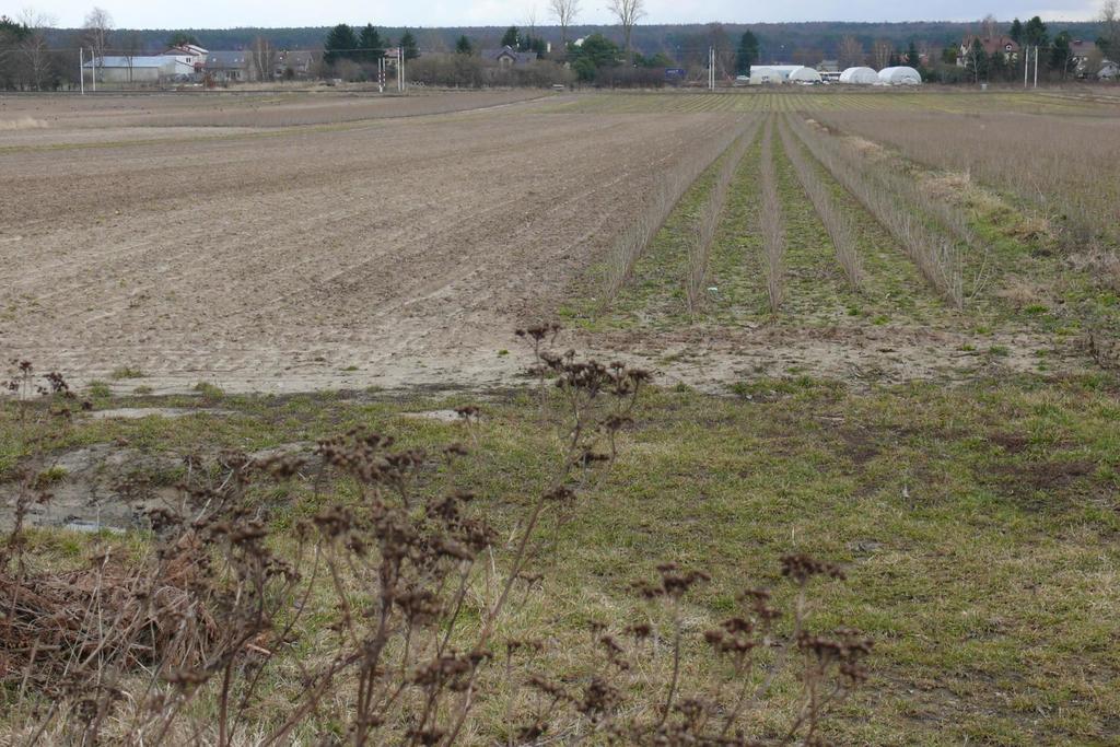 Działka w doskonałej lokalizacji-5 min. od Zalewu