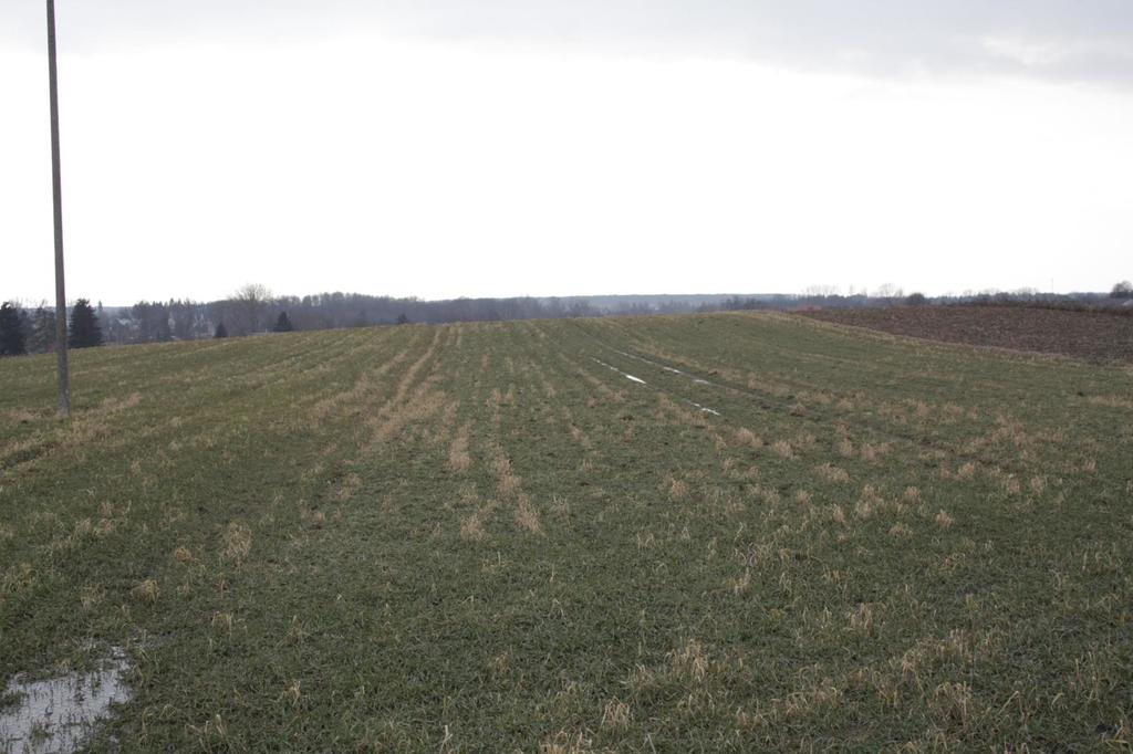 Działka budowlana 2 200 m², Tomaszowice