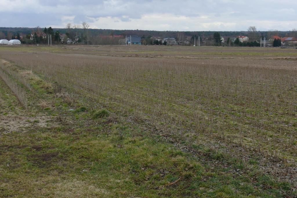 Działka w doskonałej lokalizacji-5 min. od Zalewu