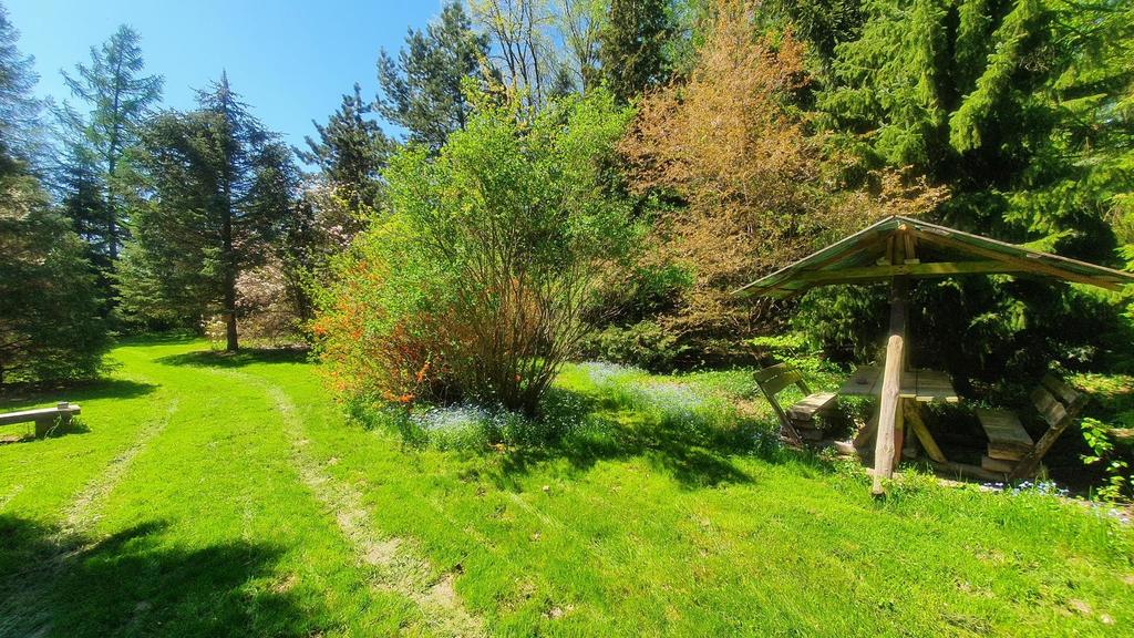 Działka budowlana 5 700 m², Zemborzyce Tereszyńskie