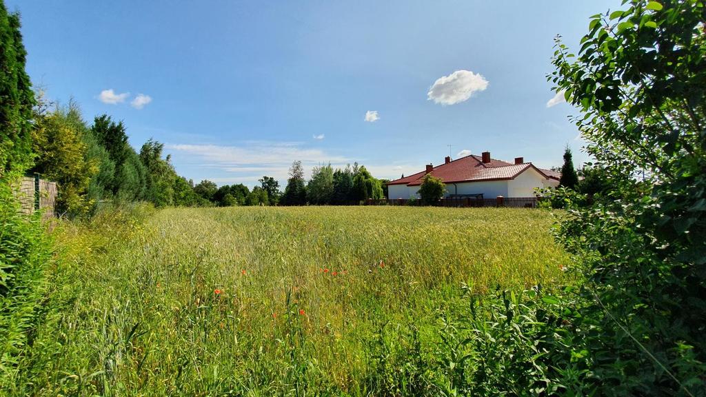 Działka budowlana 2 700 m², Dąbrowica