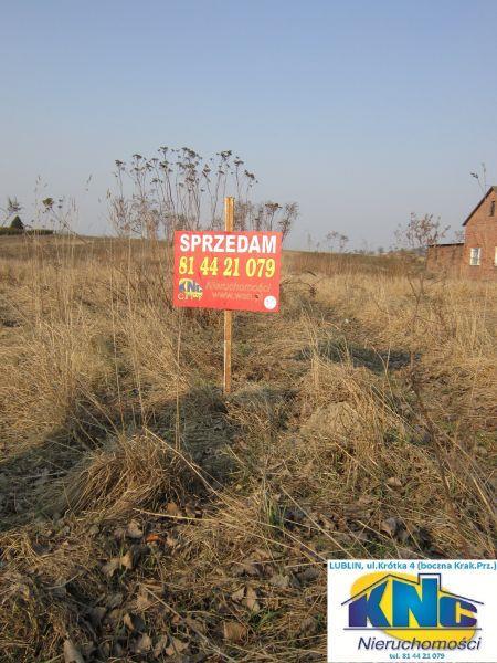 Zdjęcie 3
