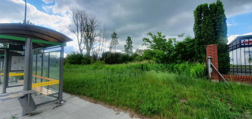 Zdjęcie 3