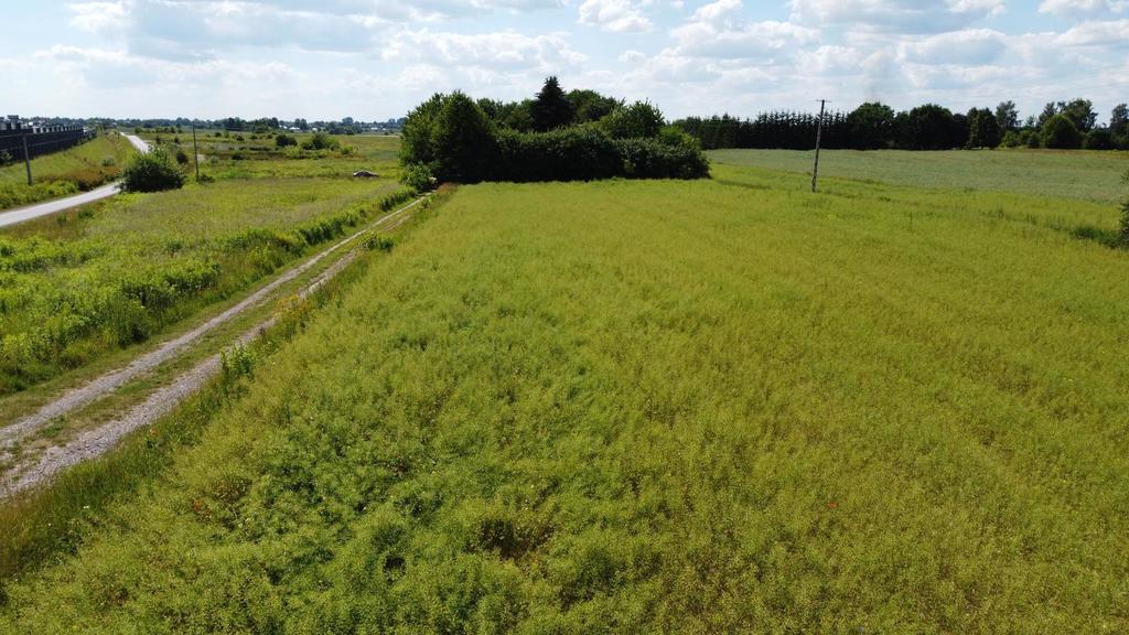 Działka rolna 7 437 m², Snopków