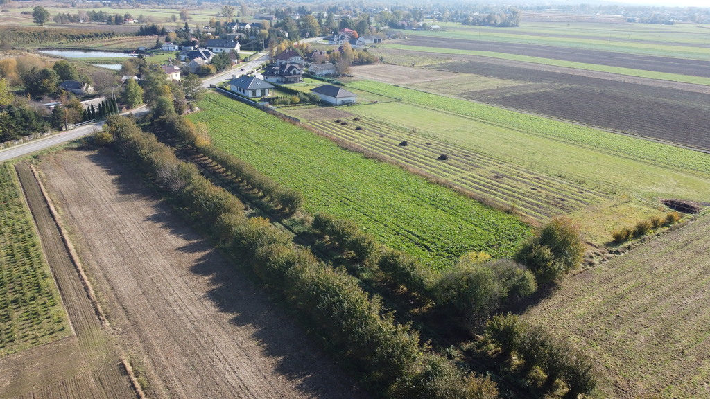Zdjęcie 10